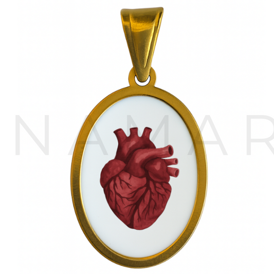 ANATOMICAL HEART.